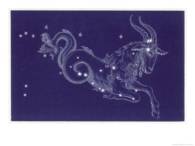 Capricorn