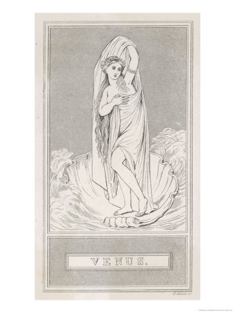 The Birth of Venus: She Stands in a Large Shell Swathed in Draperies Surrounded by a Turbulent Sea