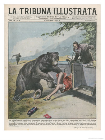 In Yellowstone a Bear Pats a Woman in a Car