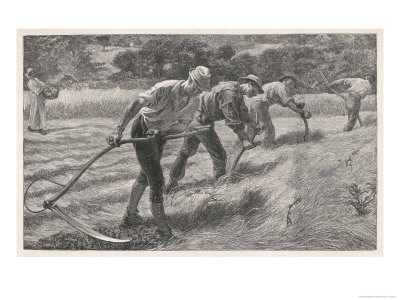 Four Men Scythe Hay into Rows: a Woman Brings Their Lunch