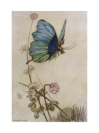 He Rides on the Back of a Butterfly