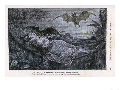 Vampire Bat Bites the Neck of a Sleeping Girl in as Hammock