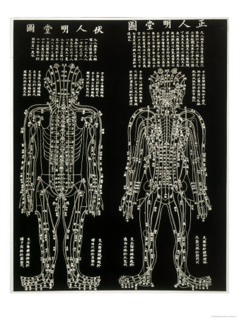 Chinese Acupuncture Chart Showing the Crucial Locations on the Body