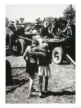 Polish Refugees