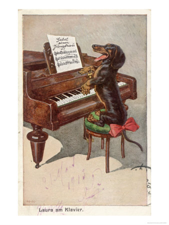 Musical Dachshund Plays a Tune on the Piano