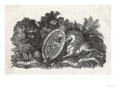 William IV