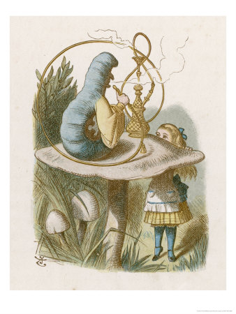 Alice and the Caterpillar