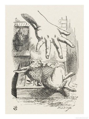 Alice Sends the White Rabbit into the Cucumber Frame