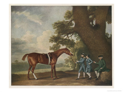 Great-Grandson of "Darley Arabian" Raced 1769-1770 in 18 Races All of Which He Won