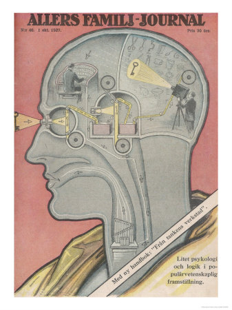 Buy What the Brain Does at AllPosters.com