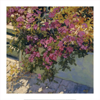Steps and Summer Flowers