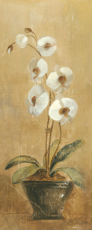 Orchids in Bronze Bowl I
