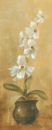 Orchids in Bronze Bowl II