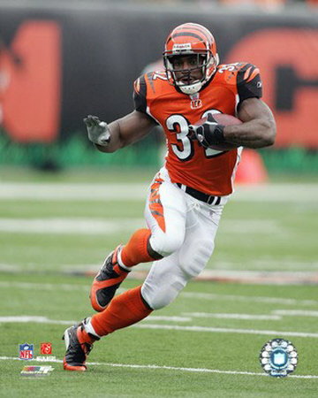 Rudi Johnson