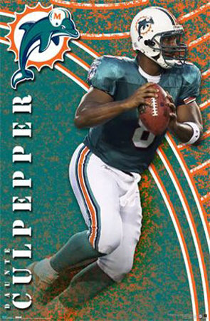 Miami Dolphins- Culpepper