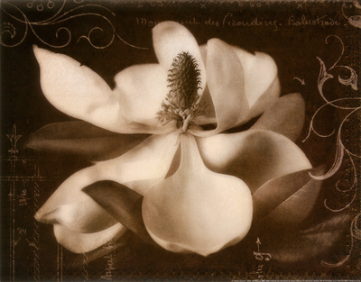 Buy Garden Journal I at AllPosters.com