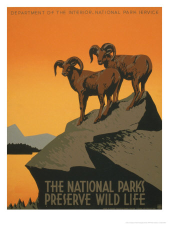 Buy National Parks at AllPosters.com