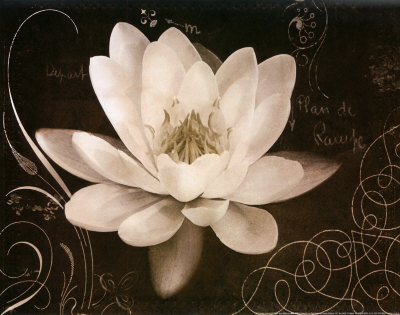 Buy Garden Journal IV at AllPosters.com