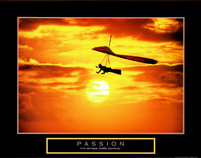 Passion: Hang Glider