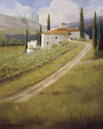 Tuscany Vineyard