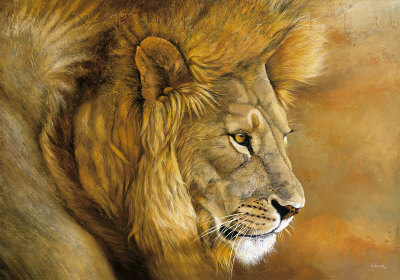 Lion du Serengeti