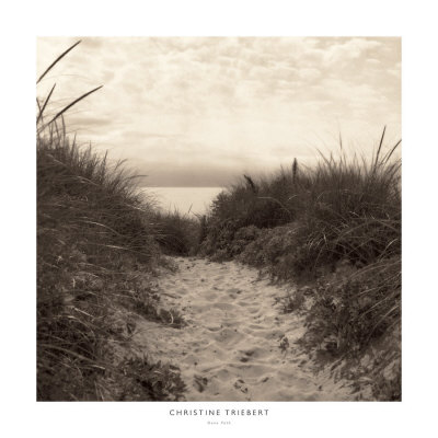 Buy Dune Path at AllPosters.com