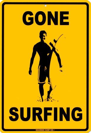 Gone Surfing Poster