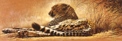 Little Rest