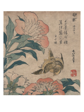 Peony and Canary, circa 1825