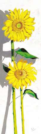 Girasoles I