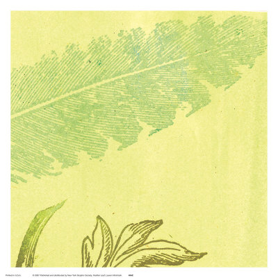 Feather Leaf