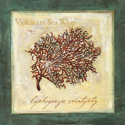 Violescent I
