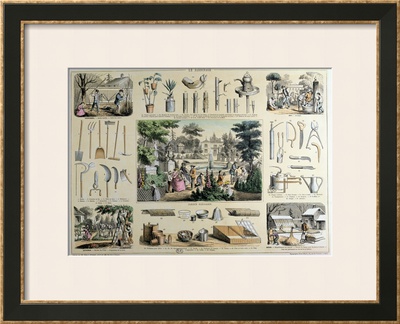 Educational Depiction of Gardening Framed Art Print