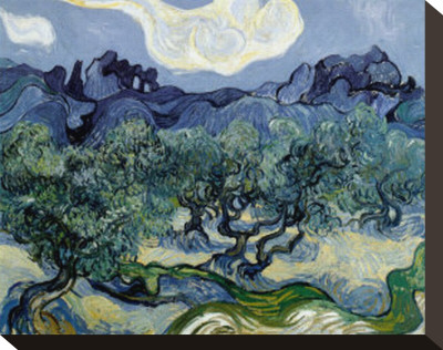 Olive Trees, 1889