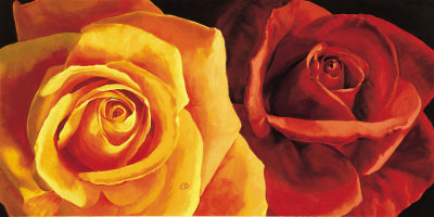 Armonia E Dolcezza