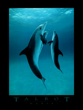 Buy Danse Des Dauphins at AllPosters.com