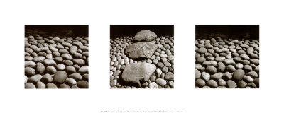 Zen Garden