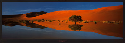 Buy Namib Desert at AllPosters.com