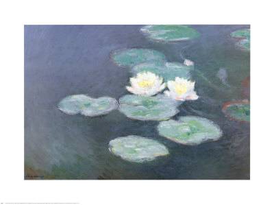 Nympheas Effet du Soir