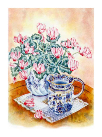 Cyclamen