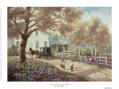 Amish Country Home