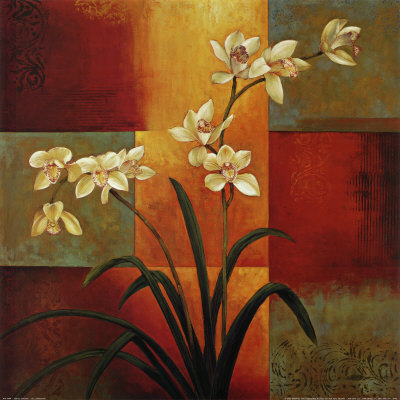 White Orchid