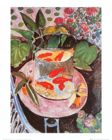 Buy Goldfish at AllPosters.com