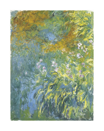 Buy Yellow Iris at AllPosters.com