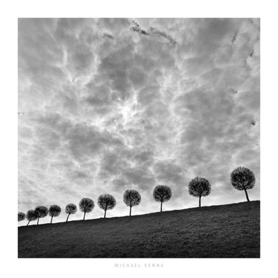 Buy Ten and a Half Trees, Peterhof, Russia, 2000 at AllPosters.com