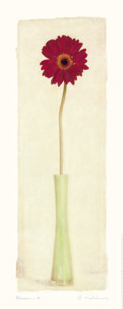 Buy Blossom II at AllPosters.com