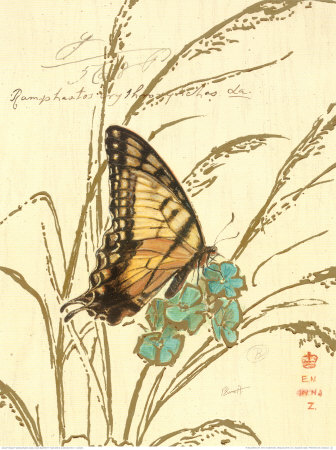 Nature's Curiosities I