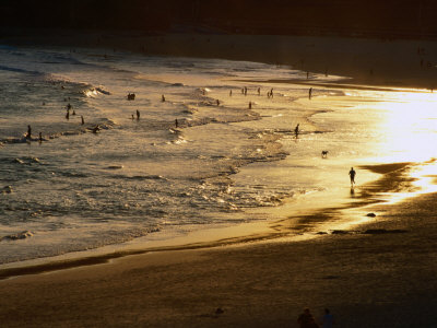 The Setting Sun Illuminates Surfers and Swimmers on Bondi Beach, Sydney, Australia