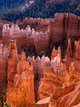Rock Formations, Sunset Point, Bryce Canyon National Park, U.S.A.