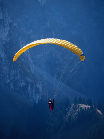 Paragliding, Rougemont, Vaud, Switzerland Poster